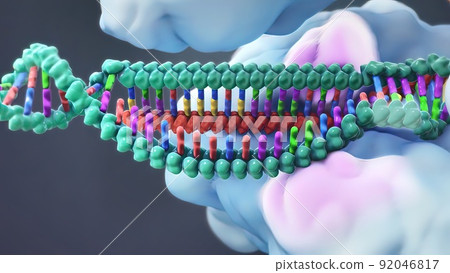 Mechanisms that induce or suppress the expression of a gene 92046817