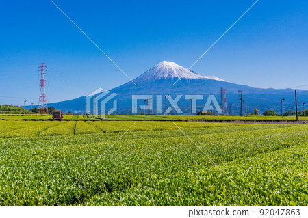(靜岡縣)富士山在一個年輕的草色茶園 (靜岡縣)富士山在一個年輕的草色茶園 92047863