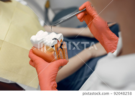 Model of a tooth at the dentist.Doctor shows the patient a tooth.Reception in the dentist's office 92048258