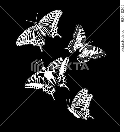 butterflies design. Flying white butterflies on a black background. Vector illustration butterflies design. Flying white butterflies on a black background. Vector illustration 92048262