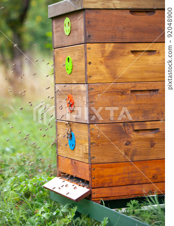 Wooden bee hive for production of a natural honey, beekeeping or apiculture concept Wooden bee hive for production of a natural honey, beekeeping or apiculture concept 92048900