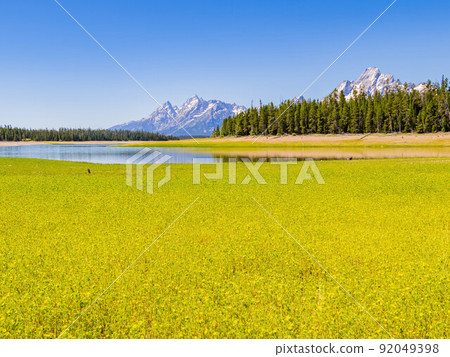 Sunny view of the Teton mountain range of Grand Teton National Park 92049398