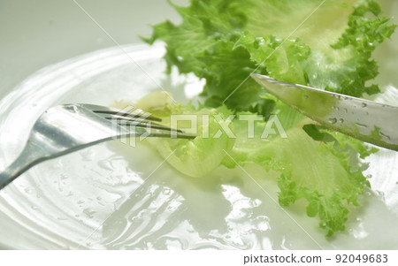 fork stabbing and knife slice to fresh lettuce with drop of water on plate fork stabbing and knife slice to fresh lettuce with drop of water on plate 92049683