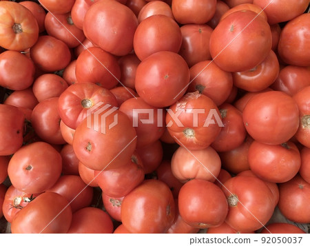 Tomato   92050037