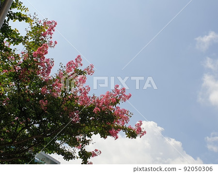 晴朗的天空 92050306