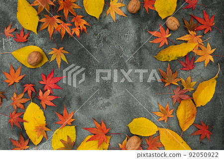 Thanksgiving day frame concept. Fall maple leaves, walnuts on dark background. Autumnal season. Flat lay Thanksgiving day frame concept. Fall maple leaves, walnuts on dark background. Autumnal season. Flat lay 92050922