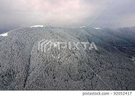 Aerial view of winter landscape with mountain hills covered with evergreen pine forest after heavy snowfall on cold quiet evening. 92052417