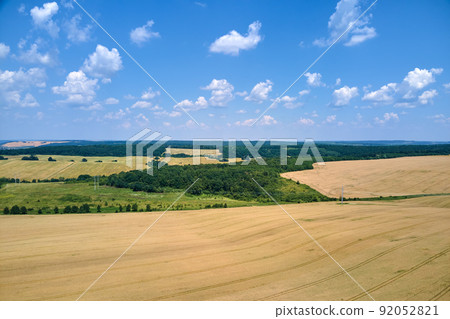 Aerial landscape view of yellow cultivated agricultural field with ripe wheat on bright summer day Aerial landscape view of yellow cultivated agricultural field with ripe wheat on bright summer day 92052821