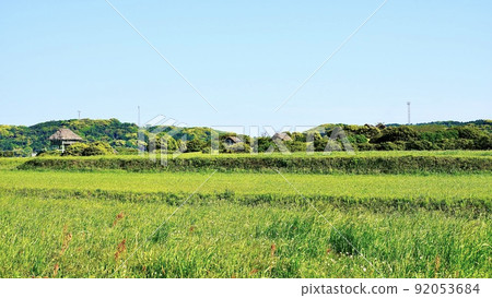 Harunotsuji Site with a restored Yayoi period building 92053684