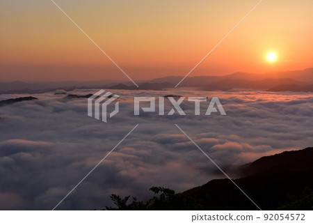 Sea of clouds in Nosakogawa village Sea of clouds in Nosakogawa village 92054572