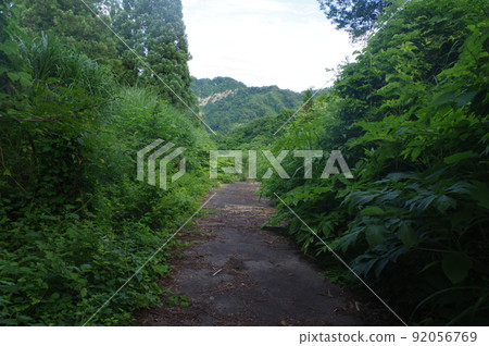 生活路 生活路 92056769