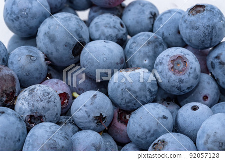 Lots of harvested blueberries 92057128