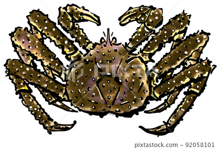 “帝王蟹”手繪圖（水墨畫風） 92058101