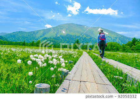 Watasuge and Mt. Shibutsu blooming in Ozegahara 92058332