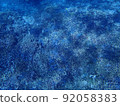 Coral reefs in Okinawa 92058383
