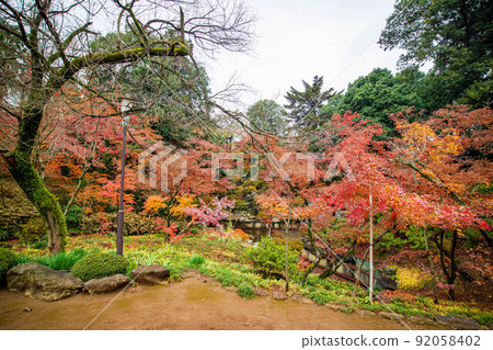 小江戶 川越 秋 秋葉 Kittain 秋葉 山庭園 小江戶 川越 秋 秋葉 Kittain 秋葉 山庭園 92058402