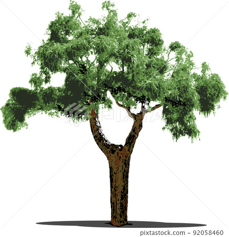 樹樹 92058460