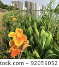 濱江花 92059052