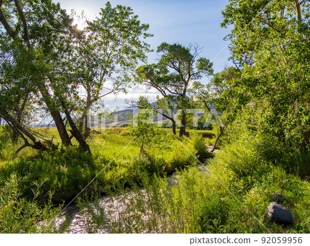 Sunny view of river landscape 92059956