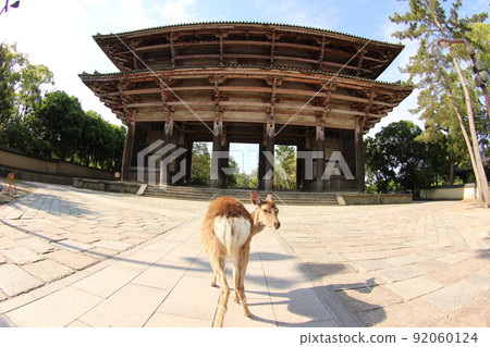 Nara deer 92060124