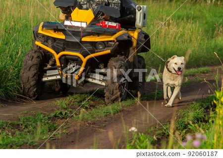 yellow ATV rides along a dirt road with a man, a driver, uphill yellow ATV rides along a dirt road with a man, a driver, uphill 92060187