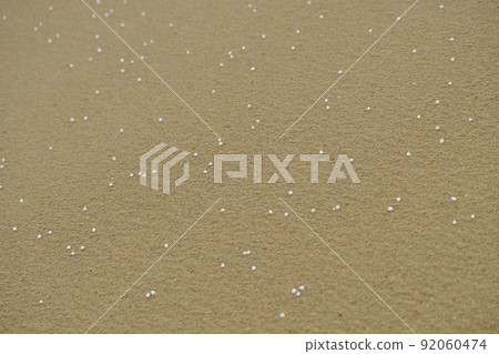 Tottori Sand Dunes on a Rough Sea Day 92060474