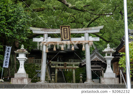 [Shizuoka Prefecture] Kotonomamahachigu 92062232
