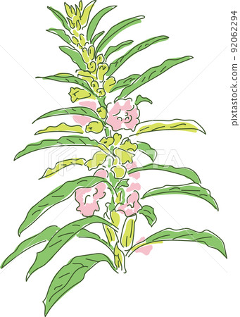 Rough hand-painted sesame flowers 92062294