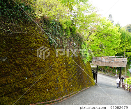 Takachiho Gorges Miyazaki Prefecture Takachiho Gorges Miyazaki Prefecture 92062679