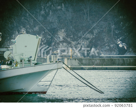 Black-tailed gulls gathering on a fishing boat moored at a fishing port 92063781