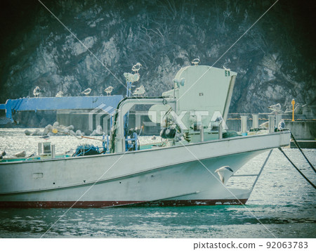 Fishing boat where black-tailed gulls gathered Fishing boat where black-tailed gulls gathered 92063783