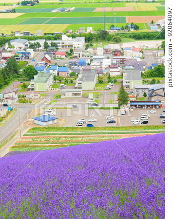 北海道中富良野北星山薰衣草園的絕景 北海道中富良野北星山薰衣草園的絕景 92064097