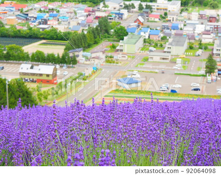 北海道中富良野北星山薰衣草園的絕景 北海道中富良野北星山薰衣草園的絕景 92064098