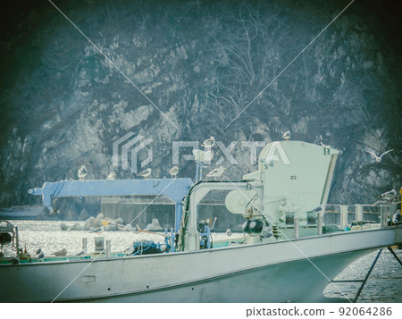 Black-tailed gulls gathered on a fishing boat Black-tailed gulls gathered on a fishing boat 92064286