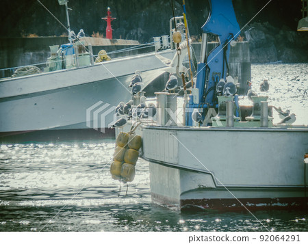 Black-tailed gulls gathered on a ship with a crane Black-tailed gulls gathered on a ship with a crane 92064291
