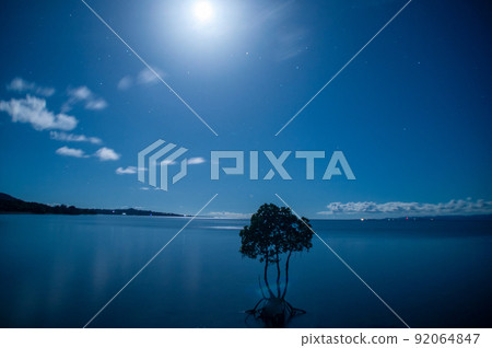 Ishigaki Island Starry Sky 92064847