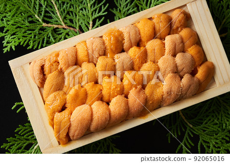 生海膽（俄羅斯bahununi） 92065016