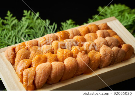 Raw sea urchin (Russian bahununi) Raw sea urchin (Russian bahununi) 92065020
