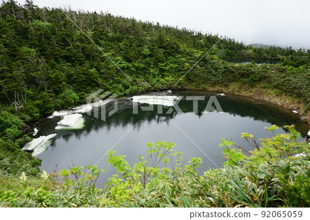 Hachimantai glasses swamp in summer Hachimantai glasses swamp in summer 92065059