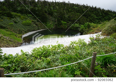 夏天的八幡平眼鏡沼澤 92065062