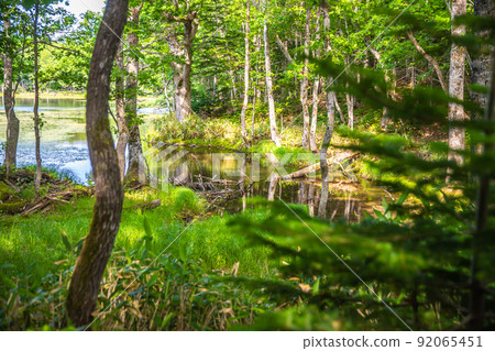 北海道知床 Goko 導覽遊 北海道知床 Goko 導覽遊 92065451