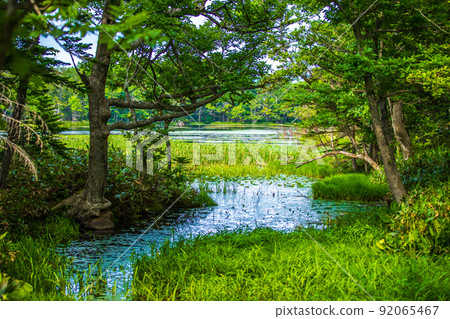 Hokkaido Shiretoko Goko Guided Walk 92065467