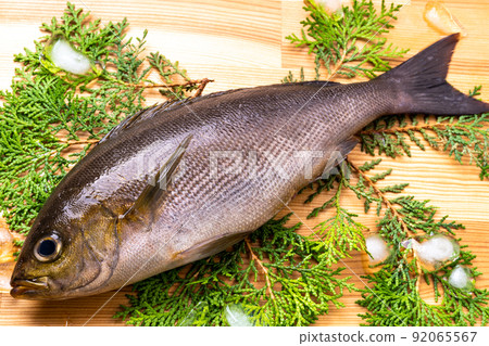 Isaki Isaki 92065567