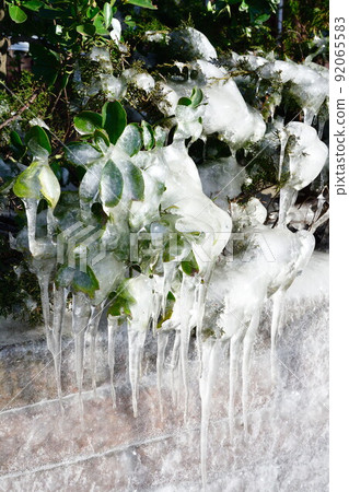 Icicle image (Niigata Prefecture) Icicle image (Niigata Prefecture) 92065583