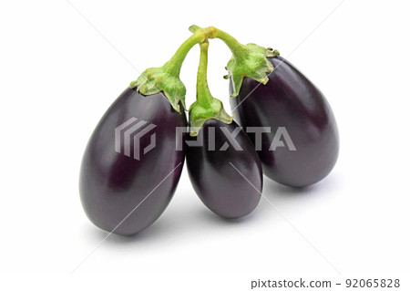 Eggplant (small eggplant) 92065828