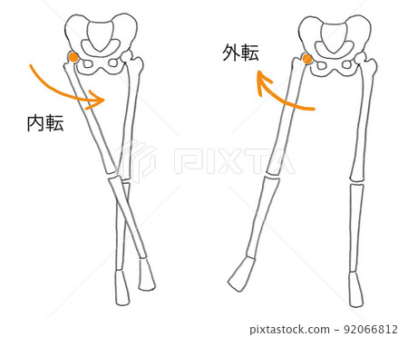 髖關節鍛煉圖 髖關節鍛煉圖 92066812