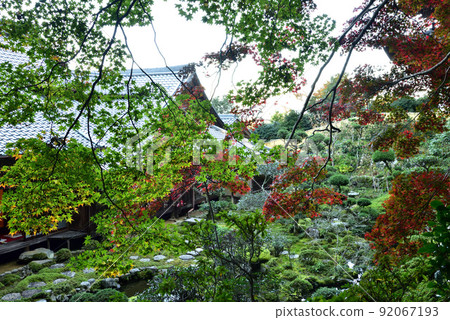 Taima-dera Seinanin Garden的秋葉 92067193