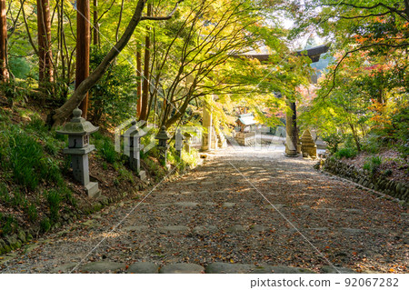 滋賀縣多賀町，秋天的Konomiya神社和鳥居入口 92067282