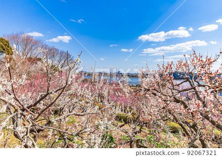 Ume Mito Kairakuen 92067321