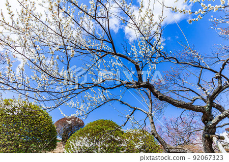 梅水戶K樂園 92067323